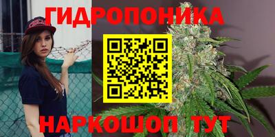 герыч Севастополь